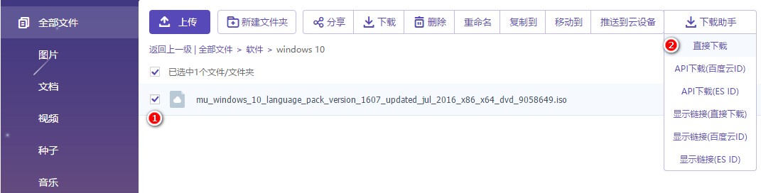 Download Assistant Button