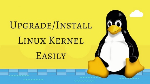Linux Kernel